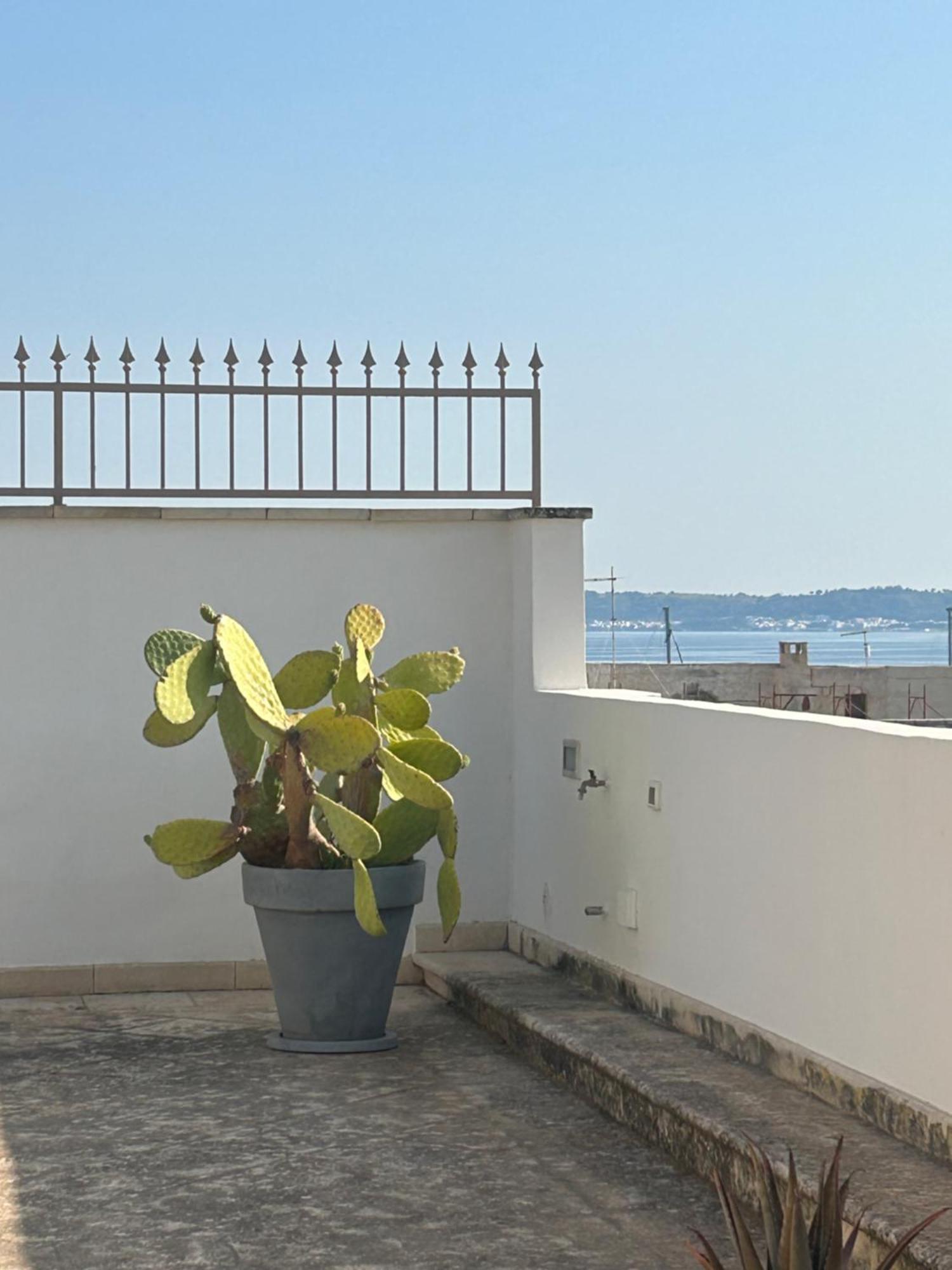 Palazzo Angelelli Bed & Breakfast Gallipoli Ngoại thất bức ảnh